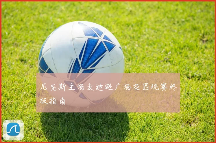 尼克斯主场麦迪逊广场花园观赛终极指南