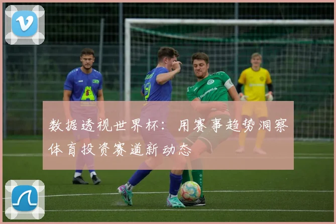 数据透视世界杯：用赛事趋势洞察体育投资赛道新动态