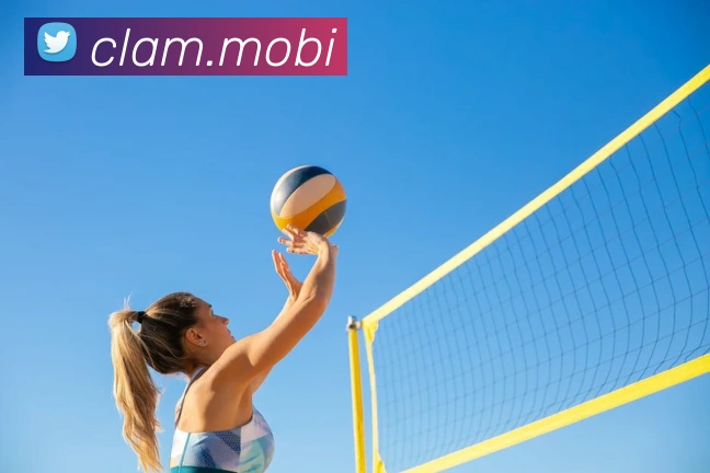 开云在线官方网站品牌故事